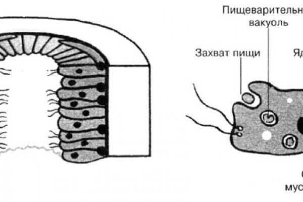 Кракен сайт krakens13 at