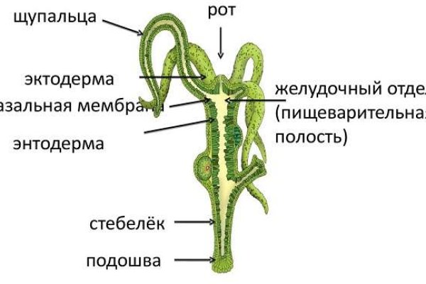 Сайт кракен россия